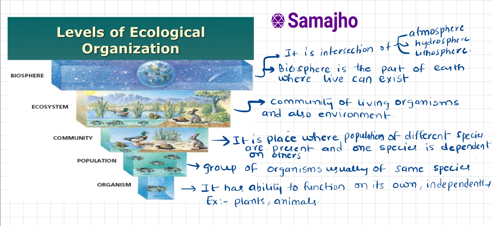 Environment Revision Snippets Compilation UPSC IAS Samajho Learning